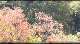 多彩多色的美景