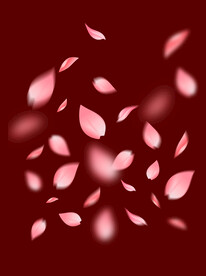 分层飘落樱花桃花装饰花瓣漂浮