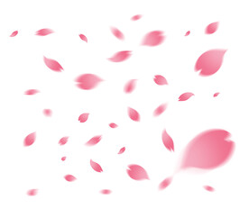 免抠春天飘落樱花桃花漂浮花瓣