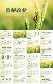 春耕农业种植水稻小麦PPT模板