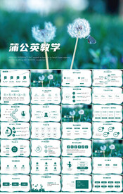 蓝色清新蒲公英教育教学PPT