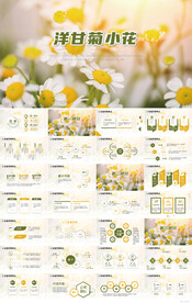 唯美洋甘菊小花春天来了PPT