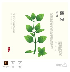 薄荷 插画