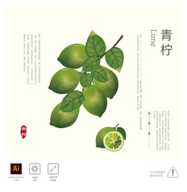 青柠 插画