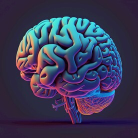 大脑效果图
