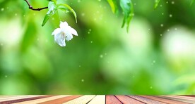 产品展示动态背景图