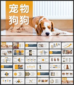可爱宠物萌宠狗狗猫猫PPT