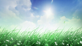 微风与绿草 舞台舞美背景视频