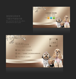宠物卡片