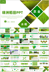 水稻农田绿洲大米PPT模板农业