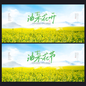 油菜花