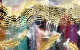 抽象羽毛装饰画