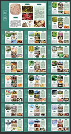 24节气展板 最新