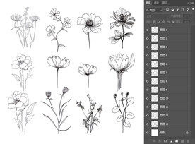 白描花卉