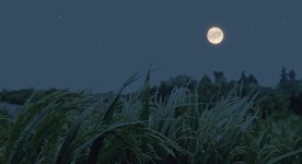 抖音夜景治愈系风景视频壁纸