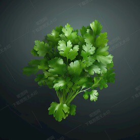 卡通香菜叶