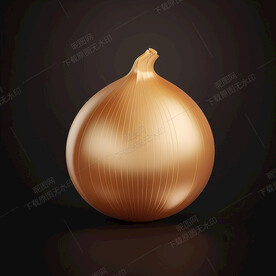 3D洋葱
