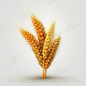 卡通麦穗