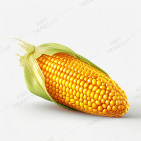 卡通玉米