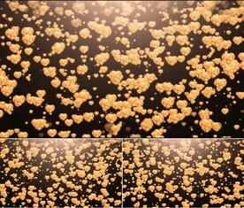 3D金色爱心下落视频素材