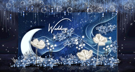 星空婚礼迎宾区