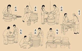 豆腐工艺流程图谱