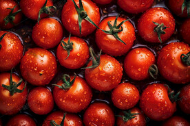 沾满水滴的圣女果