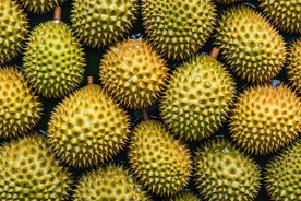 泰国榴莲