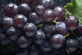 紫葡萄