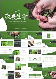 敬畏生命植物生长发芽环保ppt