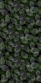 高清分层透明底树叶打印图