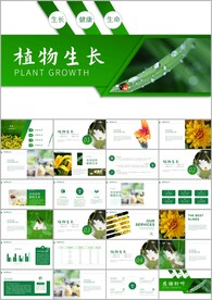 植物发芽植物生长敬畏生命ppt