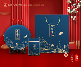 茶叶包装 茶礼盒