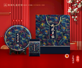 茶叶包装 茶礼盒