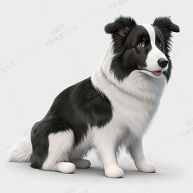 可爱的边境牧羊犬