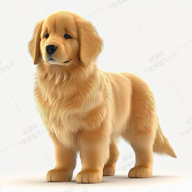 卡通金毛犬