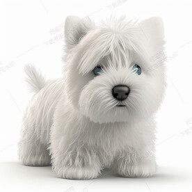 白色西高地梗狗