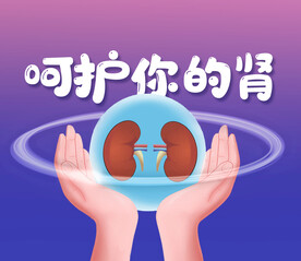 呵护你的肾关爱肾脏插图