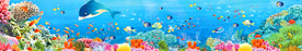 海底世界
