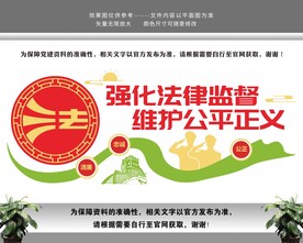 中国司法依法治国法治文化墙