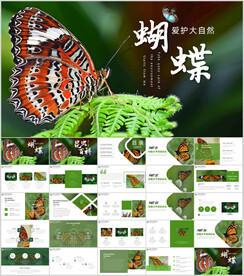 大自然昆虫动物生物百科ppt