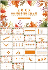 手绘花朵清新工作总结PPT