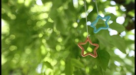 婚庆主题动态背景-树荫下的星星