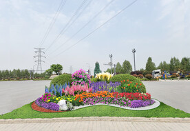 城市节点十一花镜