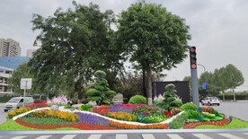 城市节点十一花镜