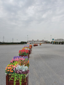 城市花箱十一花镜