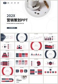 红蓝商务推广营销策划方案PPT