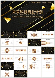黑金风未来科技商业计划书PPT