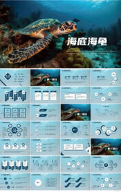 蓝色海洋深海海龟动态PPT模板