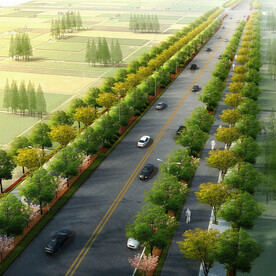 道路绿化鸟瞰图